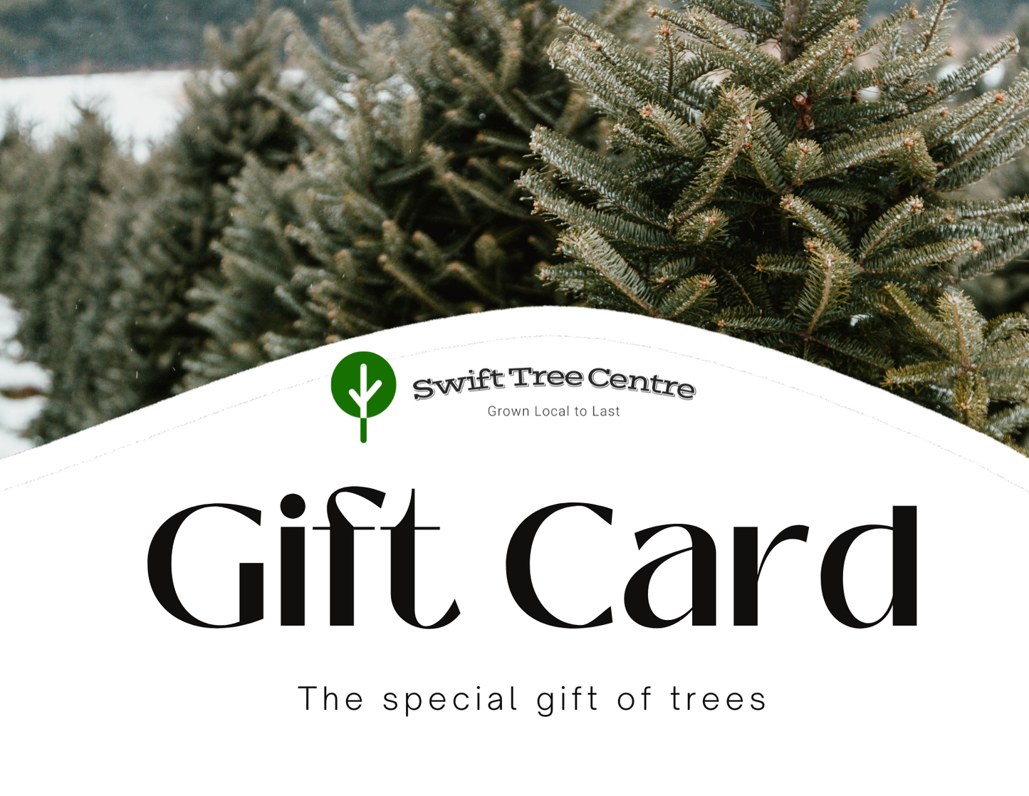 Swift Tree Centre Gift Card
