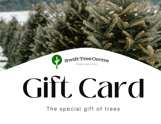 Swift Tree Centre Gift Card